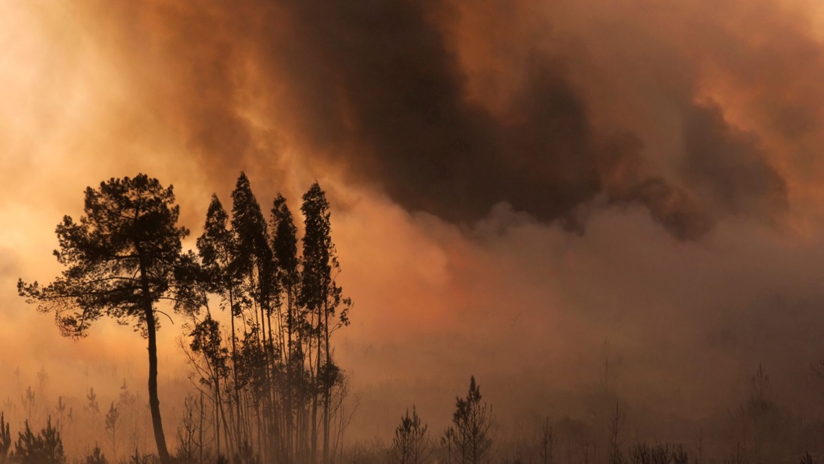 Australian bushfire crisis